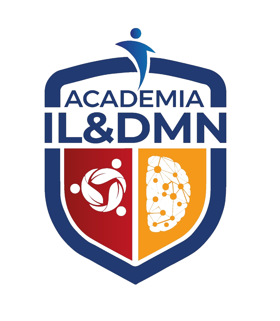 Academia ILDMN